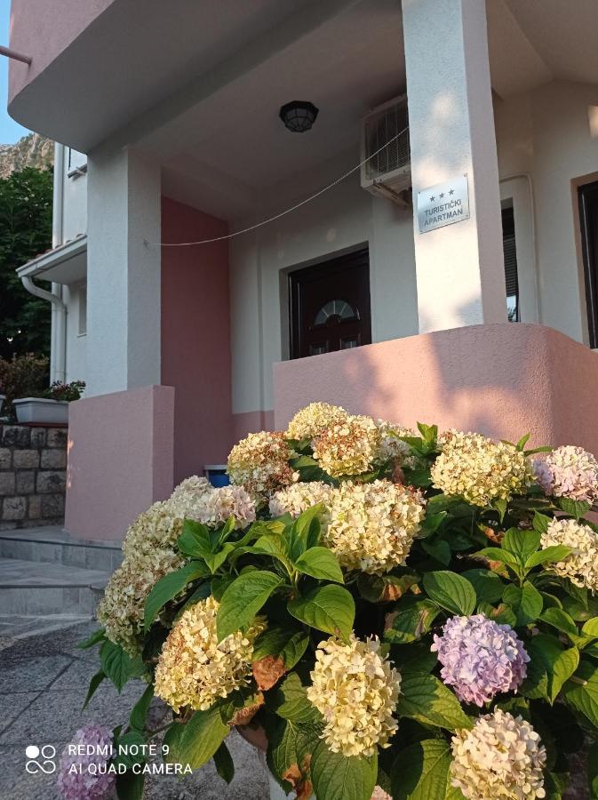 Apartments Dakovic M Котор Экстерьер фото