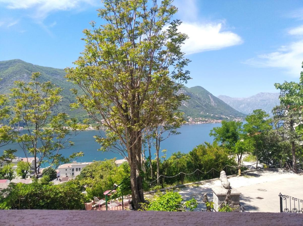 Apartments Dakovic M Котор Экстерьер фото